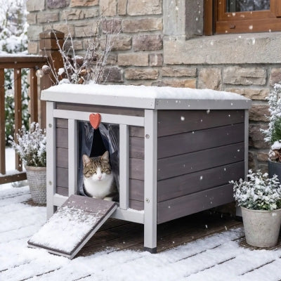 niche chat bois boitif sous la neige