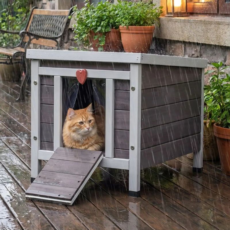 niche chat bois boitif sous la pluie