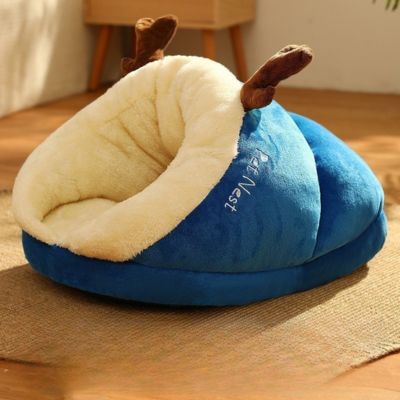 niche chat chauzon variante bleu sur un tapis
