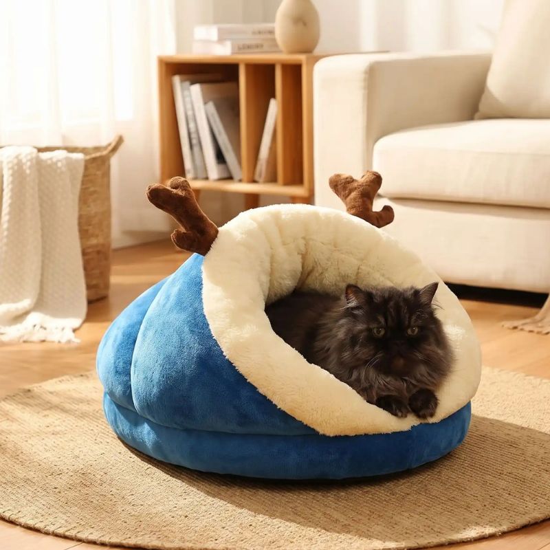 niche chat chozon bleu avec chat
