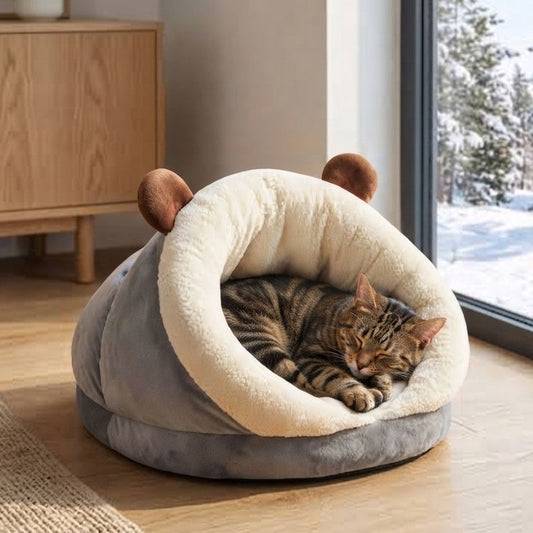 niche chat chozon gris avec chat qui dort