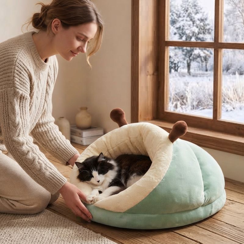 niche chat chozon vert avec chat et humain