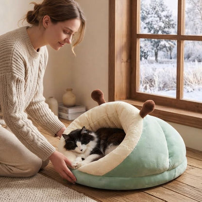 niche chat chozon vert avec chat et humain