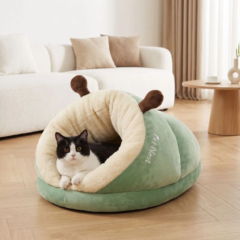 niche chat chozon vert avec chat