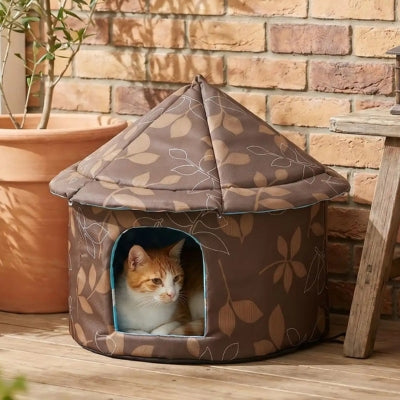niche chat extérieure rondiz au soleil