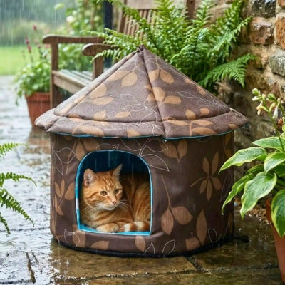 niche chat extérieure rondiz sous la pluie