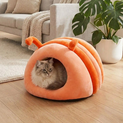niche chat intérieur nizali orange avec chat ragdoll