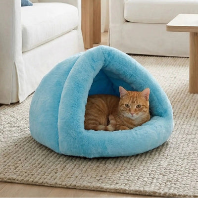 niche chaton ilatim bleu avec chat
