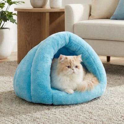 niche chaton ilatim bleu