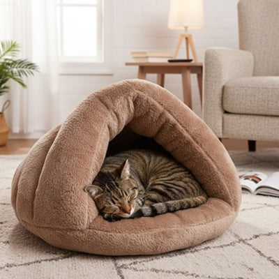 niche chaton ilatim brun avec chat