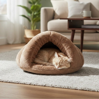 niche chaton ilatim brun