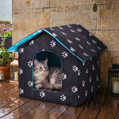 niche exterieur chat vanicel sous la pluie