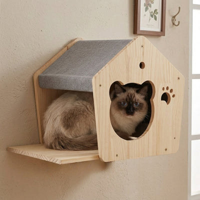 niche murale chat hazir avec chat