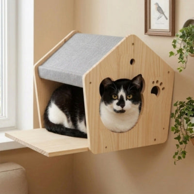 niche murale chat hazir sur le mur