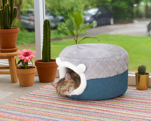 niche pour chat chat dort collection