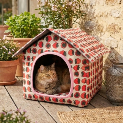 niche pour chat extérieur nanuli sur terrasse