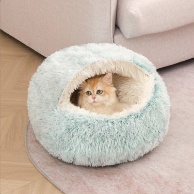variante-niche-pour-chat-vert-avec-chat-dedans