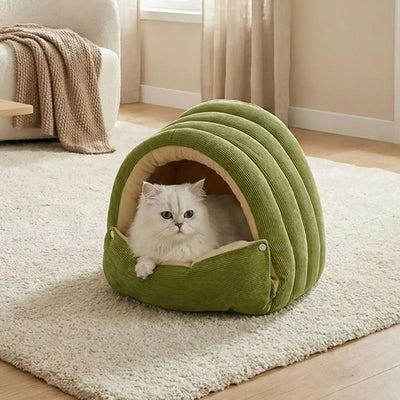 niches chat balodi vert avec chat