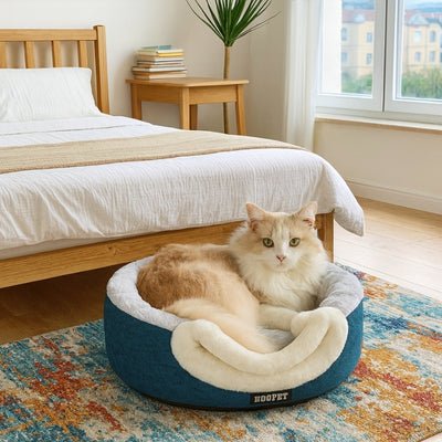 Variante-petit-du-panier-chat-cimbou