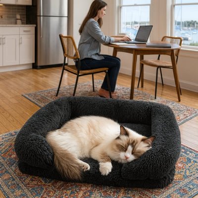 variante-panier-chat-jousy-couleur-noir