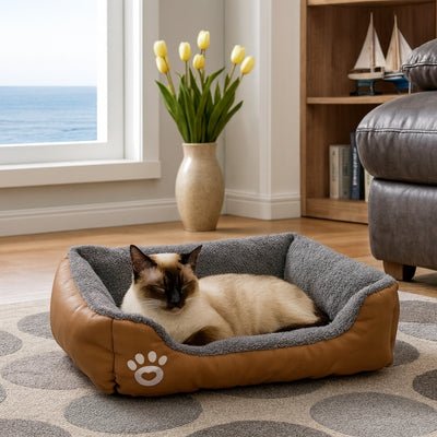 variante-cafe-du-panier-chat-patounet