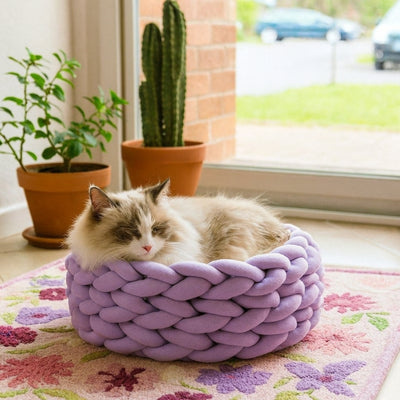 panier chat perzan variante violet