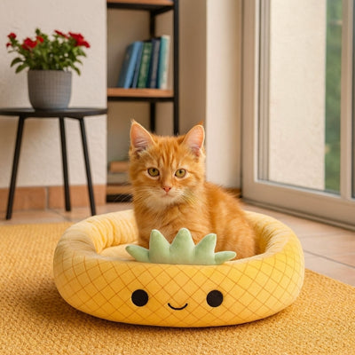 panier chatons nagazou variante ananas