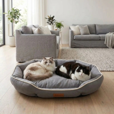 panier grand chat fortal variante gris et deux chats