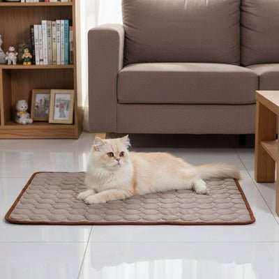 variante-café-tapis-rafraichissant-chat-blizard