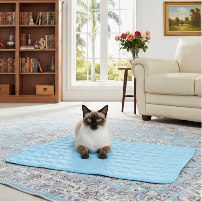 tapis rafraichissant chat blizard bleu