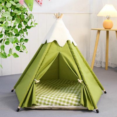 variante-tipi-chat-vert
