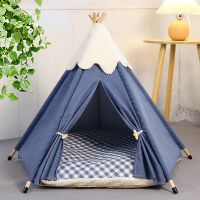 tipi chat munty bleu
