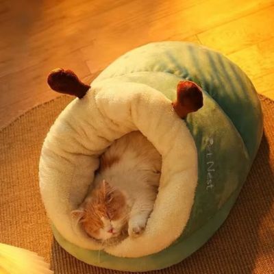 un chat dort dans sa niche chat chauzon couleur vert