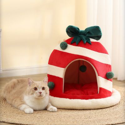un chat est à côté des maisonnettes pour chats mavado