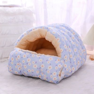 variante bleu de la niche chat widor