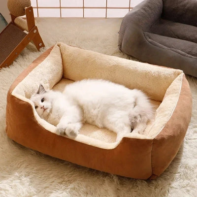 variante-cafe-panier-pour-chat-klassou