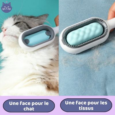 Brosse Magique | BrushHop™